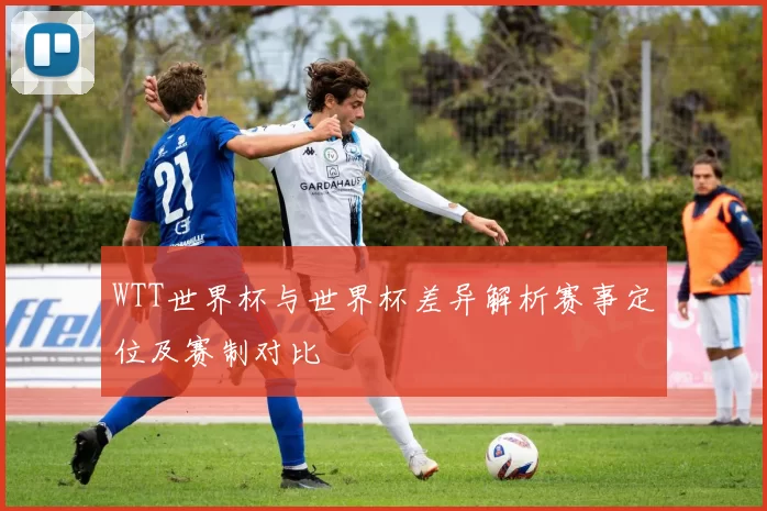 WTT世界杯与世界杯差异解析赛事定位及赛制对比