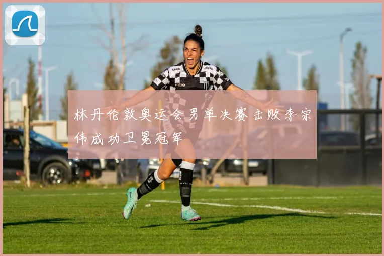 林丹伦敦奥运会男单决赛击败李宗伟成功卫冕冠军